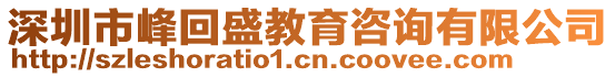 深圳市峰回盛教育咨詢有限公司