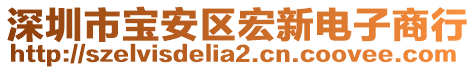 深圳市寶安區(qū)宏新電子商行