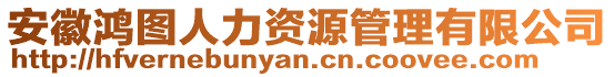 安徽鴻圖人力資源管理有限公司