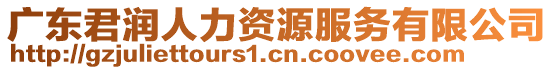 廣東君潤人力資源服務有限公司