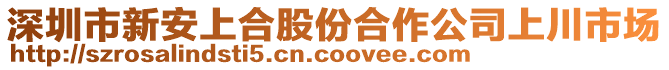 深圳市新安上合股份合作公司上川市場