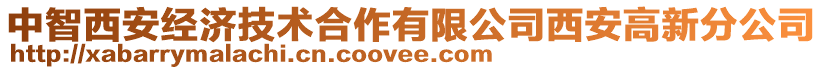 中智西安經(jīng)濟(jì)技術(shù)合作有限公司西安高新分公司