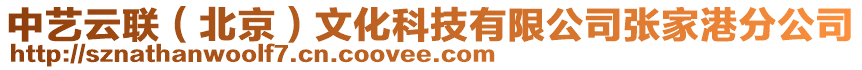 中藝云聯(lián)（北京）文化科技有限公司張家港分公司