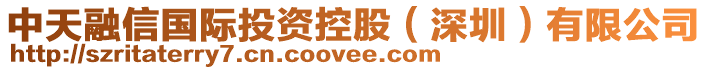 中天融信國際投資控股(深圳)有限公司