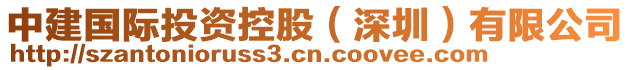 中建國際投資控股（深圳）有限公司