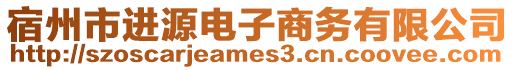 宿州市進源電子商務有限公司