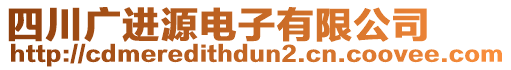四川廣進源電子有限公司