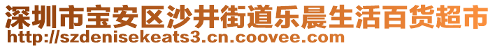 深圳市寶安區(qū)沙井街道樂(lè)晨生活百貨超市