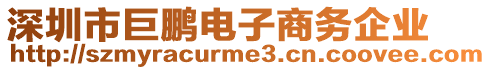 深圳市巨鵬電子商務(wù)企業(yè)