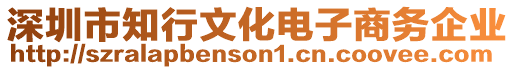 深圳市知行文化電子商務企業(yè)