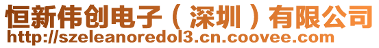 恒新偉創(chuàng)電子(深圳)有限公司