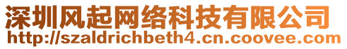 深圳風起網絡科技有限公司