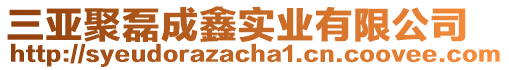 三亞聚磊成鑫實(shí)業(yè)有限公司