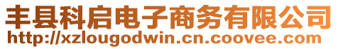 豐縣科啟電子商務(wù)有限公司