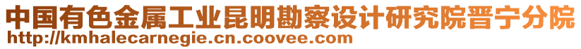 中國(guó)有色金屬工業(yè)昆明勘察設(shè)計(jì)研究院晉寧分院