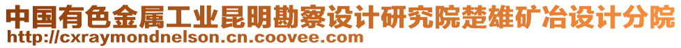 中國有色金屬工業(yè)昆明勘察設(shè)計研究院楚雄礦冶設(shè)計分院