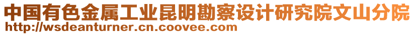 中國有色金屬工業(yè)昆明勘察設(shè)計研究院文山分院