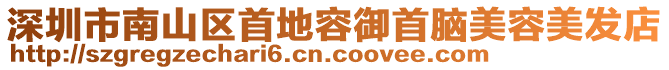 深圳市南山區(qū)首地容御首腦美容美發(fā)店