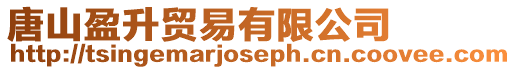 唐山盈升貿易有限公司