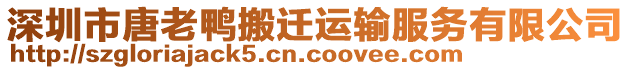 深圳市唐老鴨搬遷運輸服務(wù)有限公司