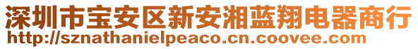 深圳市寶安區(qū)新安湘藍翔電器商行