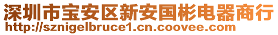 深圳市寶安區(qū)新安國(guó)彬電器商行