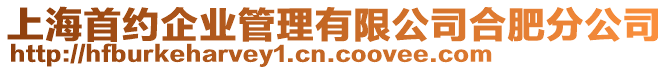 上海首約企業(yè)管理有限公司合肥分公司