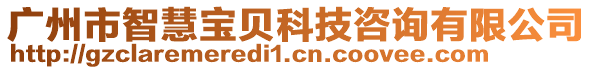 廣州市智慧寶貝科技咨詢有限公司