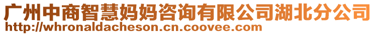 廣州中商智慧媽媽咨詢有限公司湖北分公司