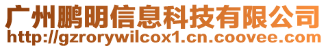 廣州鵬明信息科技有限公司