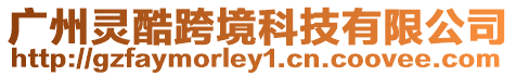 廣州靈酷跨境科技有限公司