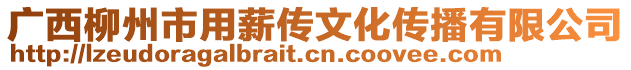 廣西柳州市用薪傳文化傳播有限公司