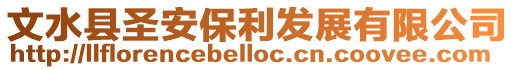 文水縣圣安保利發展有限公司