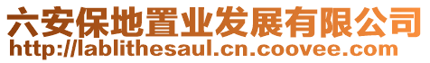 六安保地置業發展有限公司
