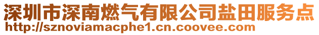 深圳市深南燃?xì)庥邢薰钧}田服務(wù)點(diǎn)