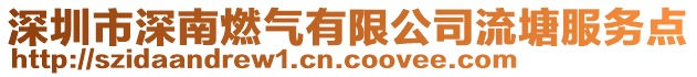 深圳市深南燃?xì)庥邢薰玖魈练?wù)點(diǎn)