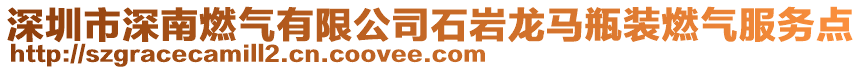 深圳市深南燃?xì)庥邢薰臼瘞r龍馬瓶裝燃?xì)夥?wù)點(diǎn)