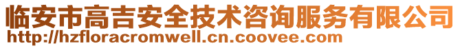 臨安市高吉安全技術(shù)咨詢服務(wù)有限公司