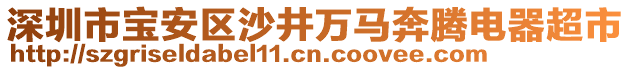 深圳市寶安區沙井萬馬奔騰電器超市