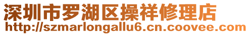 深圳市羅湖區操祥修理店
