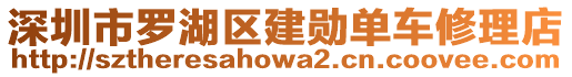 深圳市羅湖區(qū)建勛單車修理店