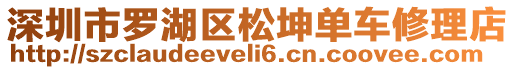 深圳市羅湖區(qū)松坤單車修理店