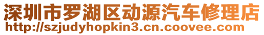 深圳市羅湖區(qū)動(dòng)源汽車修理店
