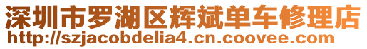 深圳市羅湖區(qū)輝斌單車修理店