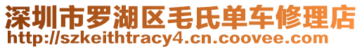 深圳市羅湖區(qū)毛氏單車修理店