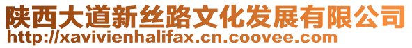 陜西大道新絲路文化發展有限公司