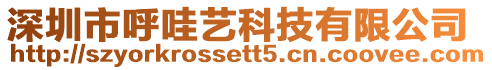 深圳市呼哇藝科技有限公司