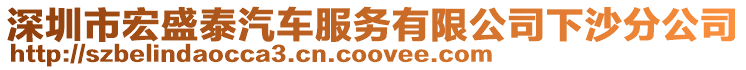 深圳市宏盛泰汽車服務有限公司下沙分公司