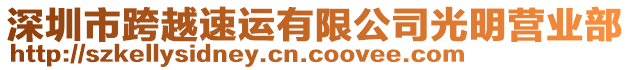 深圳市跨越速運有限公司光明營業部
