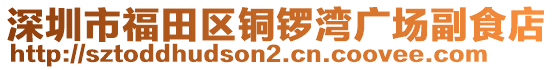 深圳市福田區(qū)銅鑼灣廣場副食店